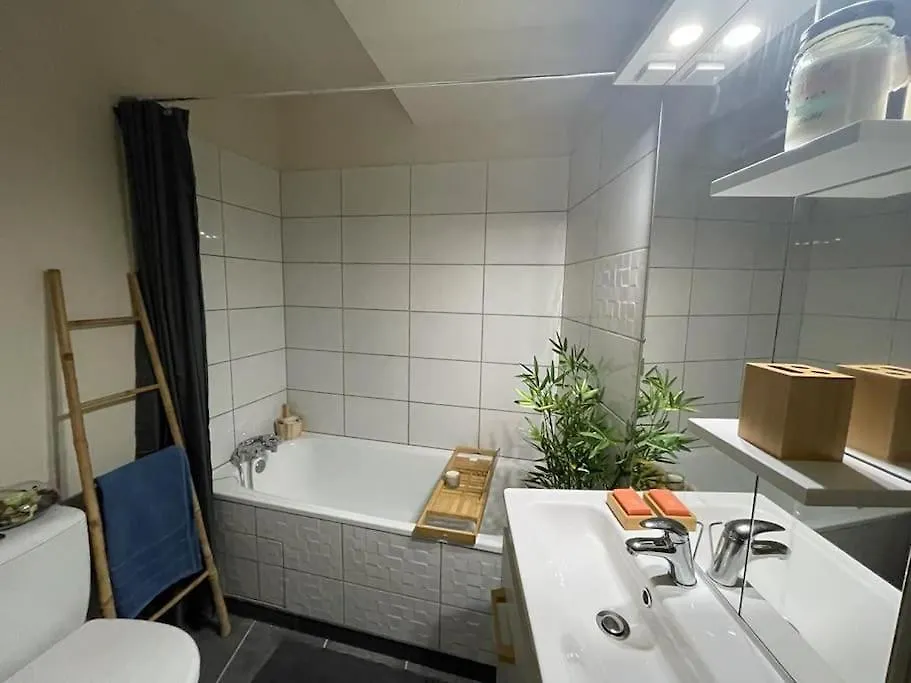 Saint-Girons, Charmant Studio En Plein Centre France